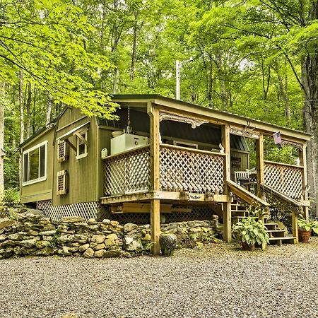 Lotsa Moose Lodge Pisgah Forest Waterfall Cabin! Burnsville Exterior foto