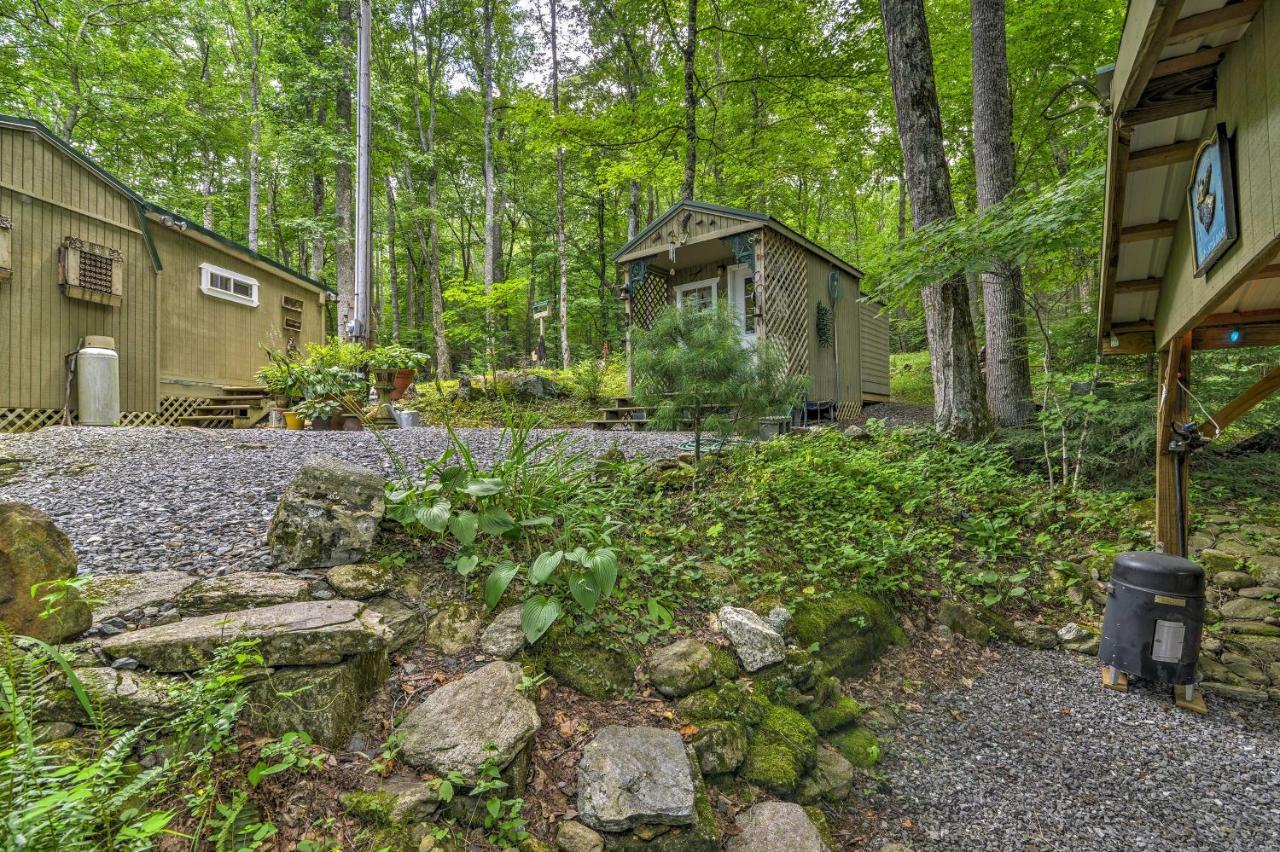 Lotsa Moose Lodge Pisgah Forest Waterfall Cabin! Burnsville Exterior foto