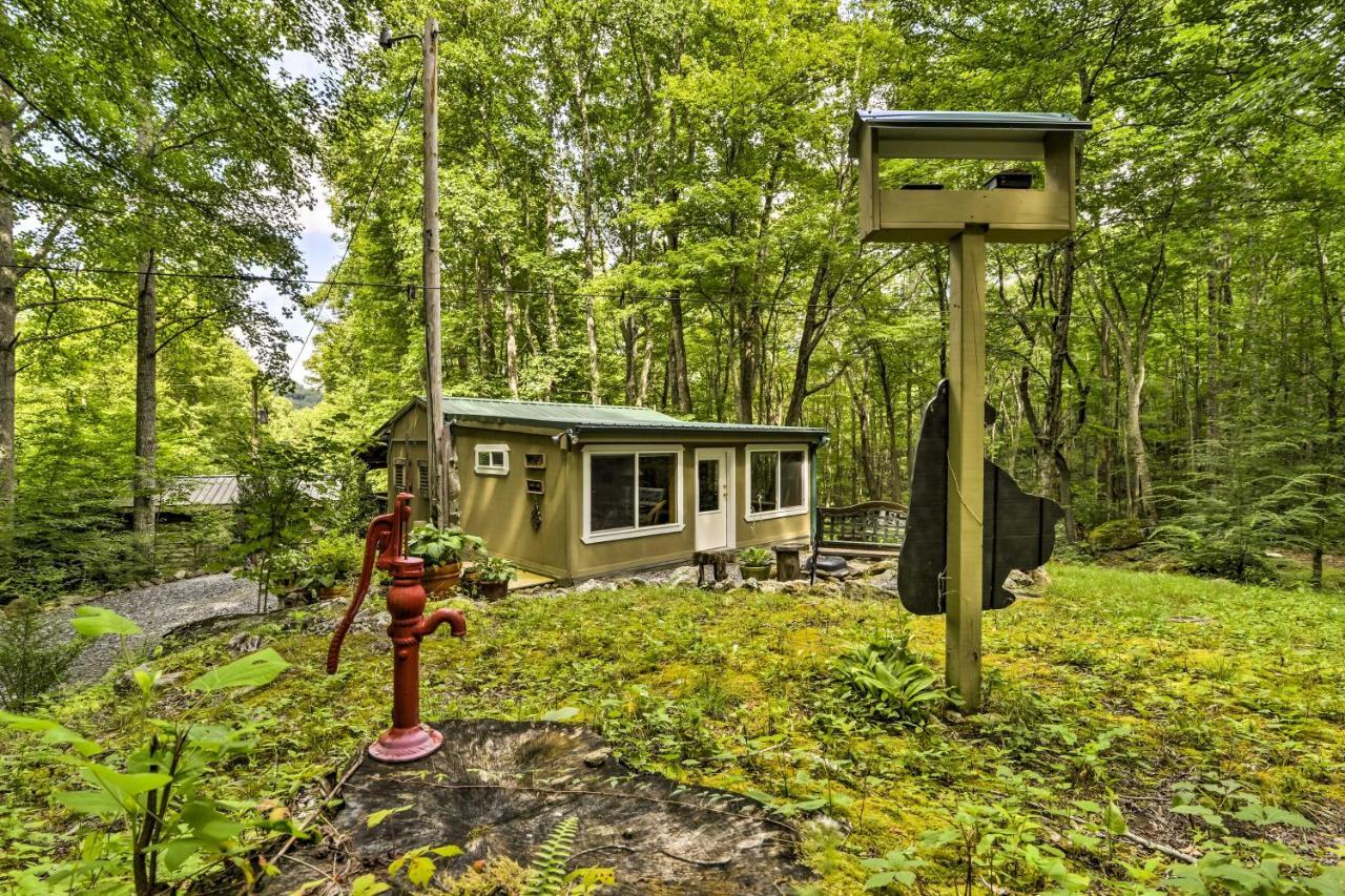 Lotsa Moose Lodge Pisgah Forest Waterfall Cabin! Burnsville Exterior foto