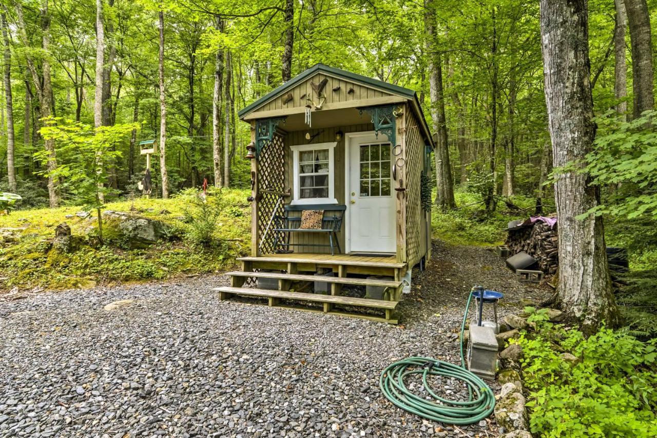 Lotsa Moose Lodge Pisgah Forest Waterfall Cabin! Burnsville Exterior foto