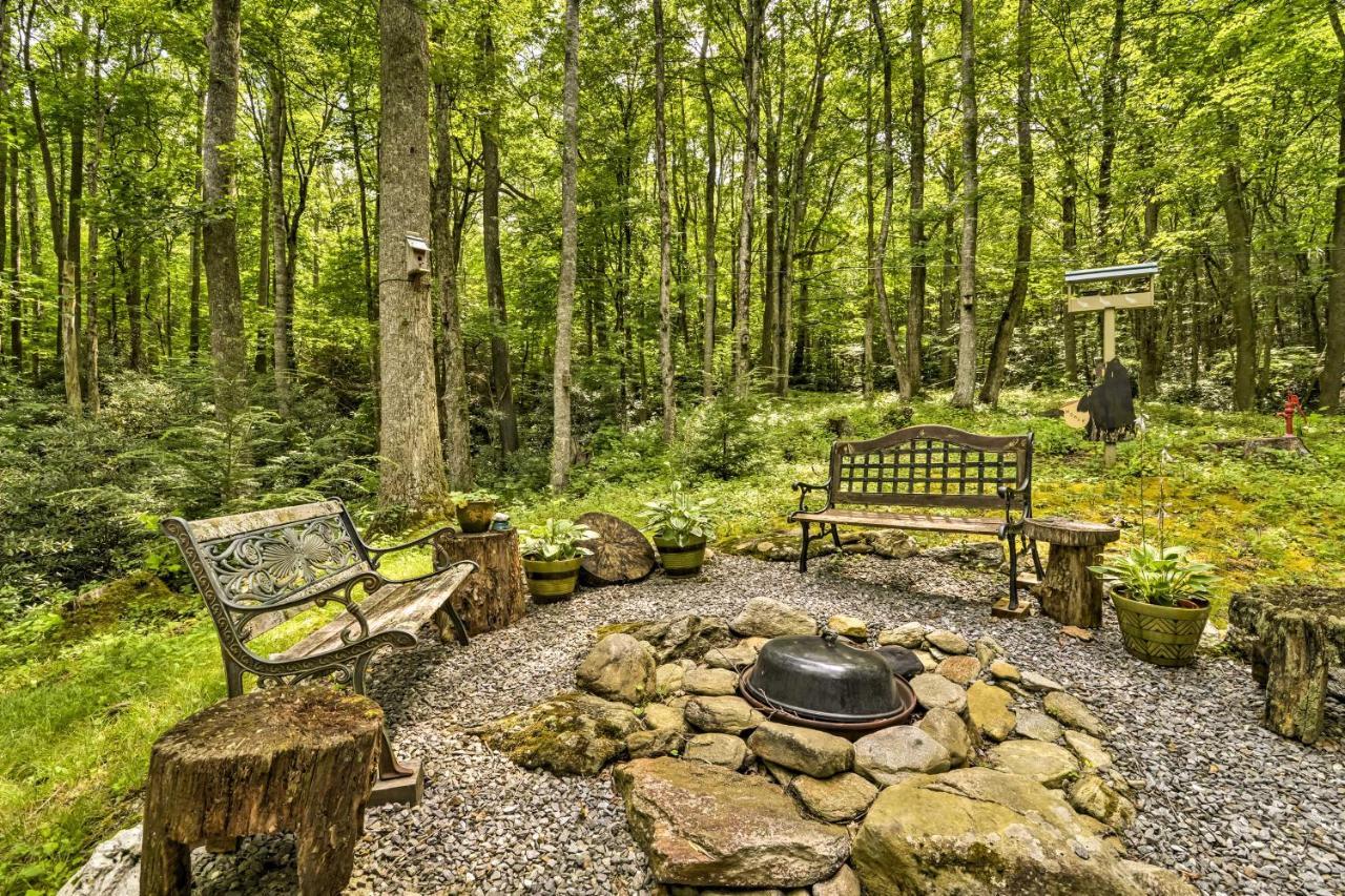 Lotsa Moose Lodge Pisgah Forest Waterfall Cabin! Burnsville Exterior foto