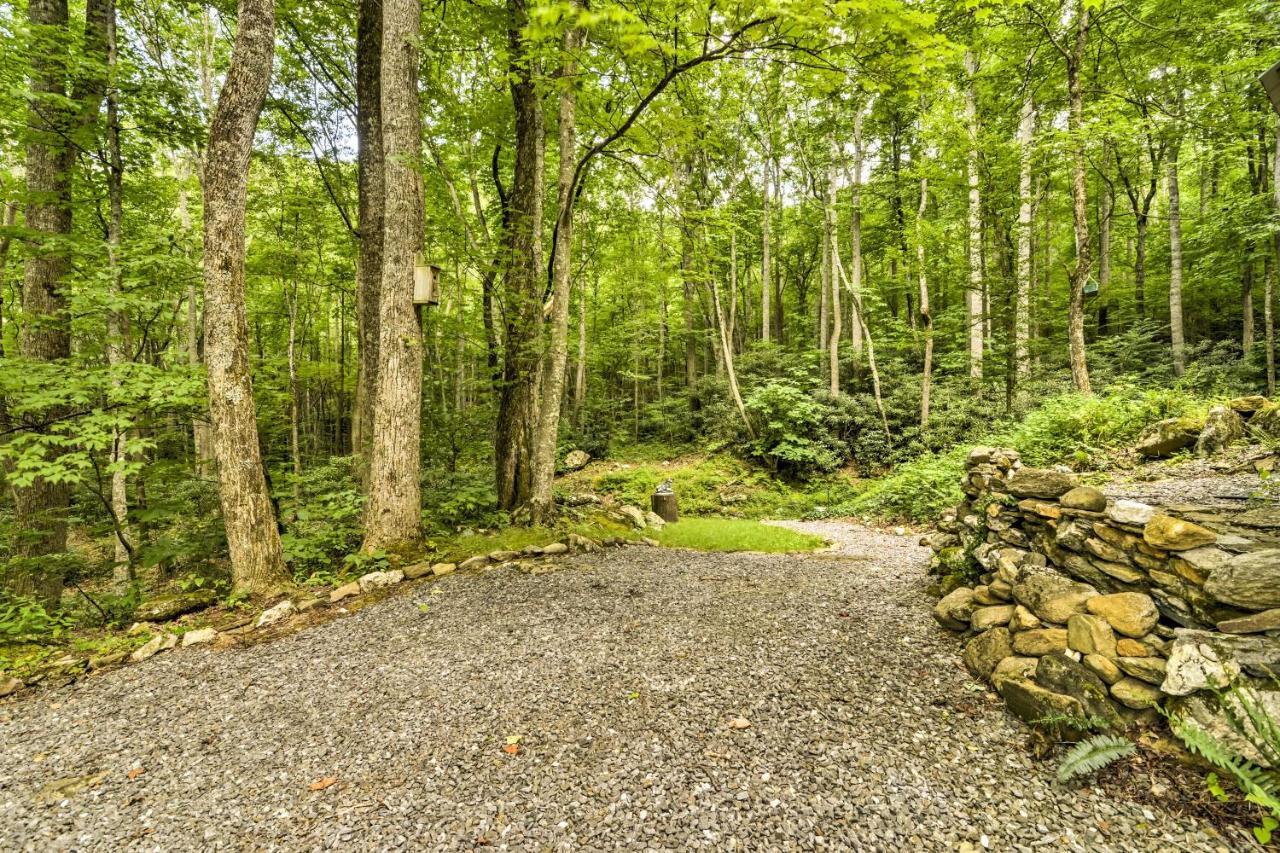 Lotsa Moose Lodge Pisgah Forest Waterfall Cabin! Burnsville Exterior foto