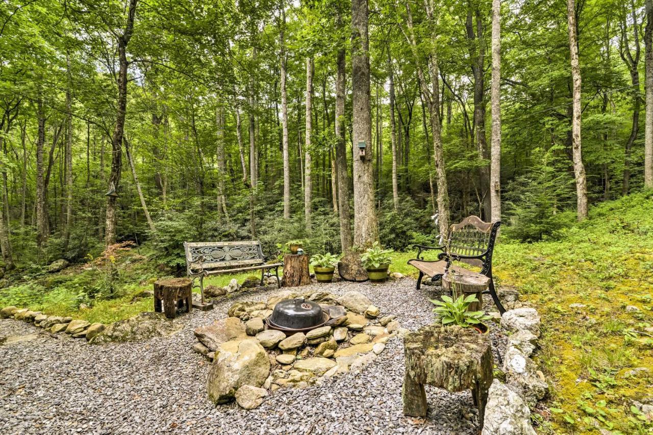 Lotsa Moose Lodge Pisgah Forest Waterfall Cabin! Burnsville Exterior foto