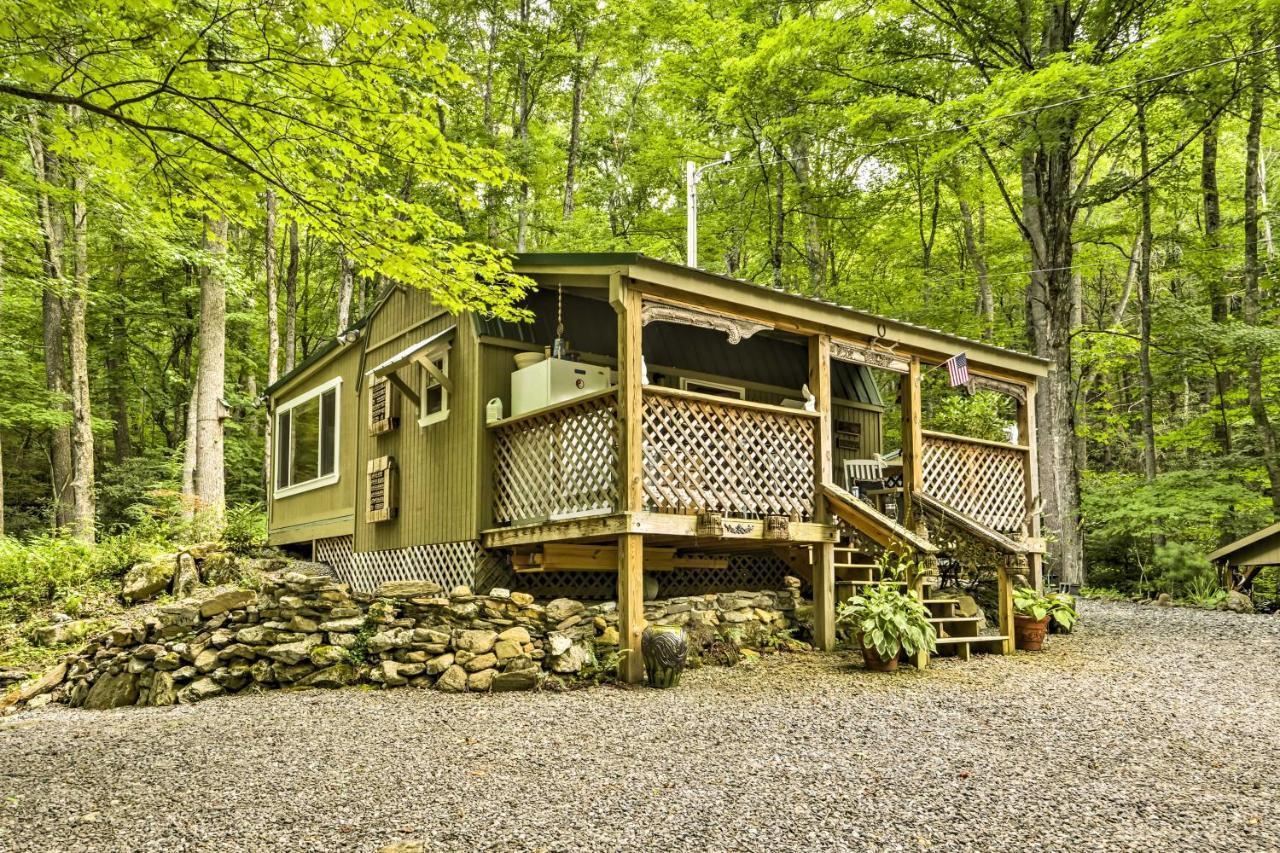 Lotsa Moose Lodge Pisgah Forest Waterfall Cabin! Burnsville Exterior foto