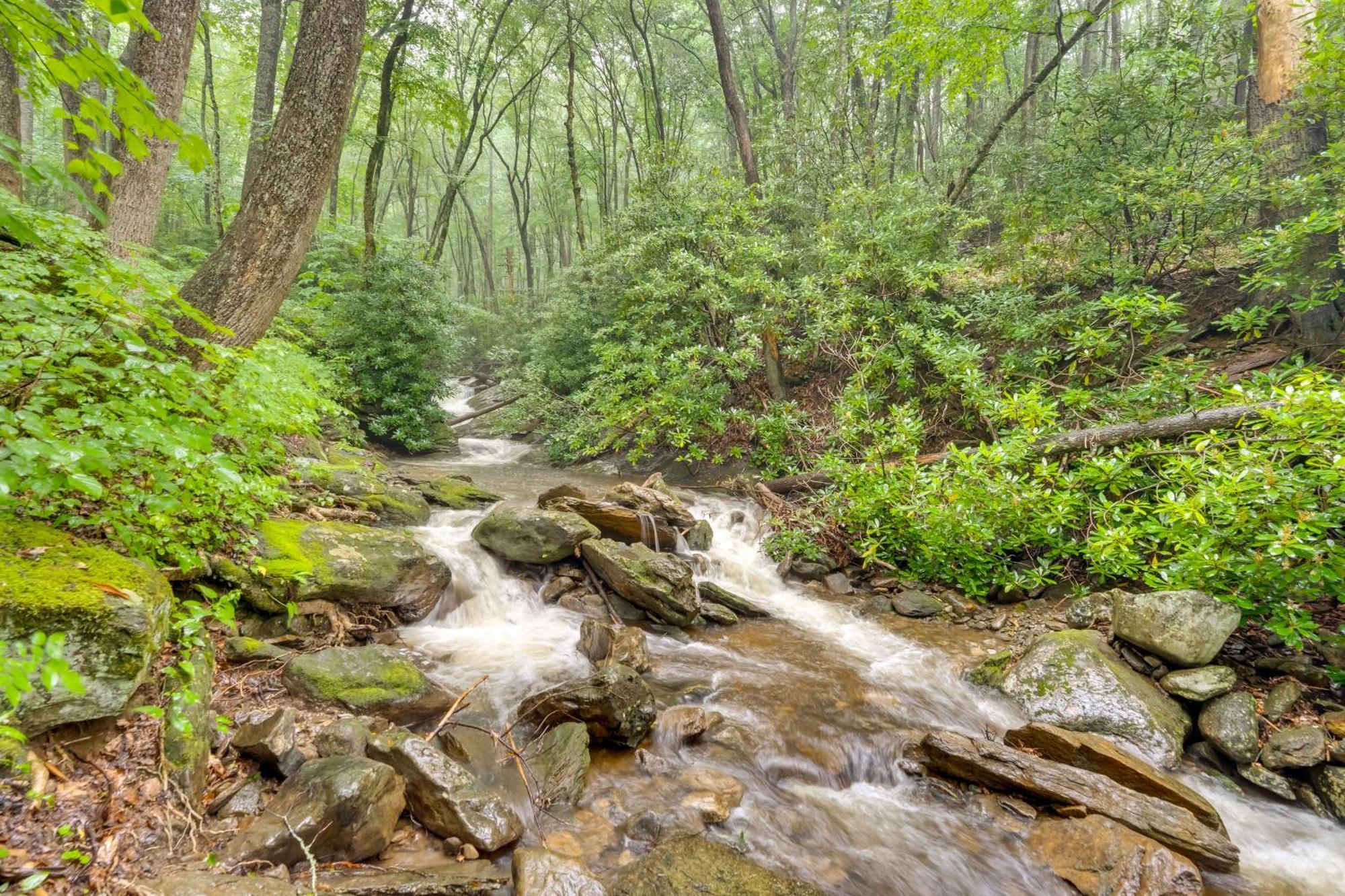 Lotsa Moose Lodge Pisgah Forest Waterfall Cabin! Burnsville Exterior foto